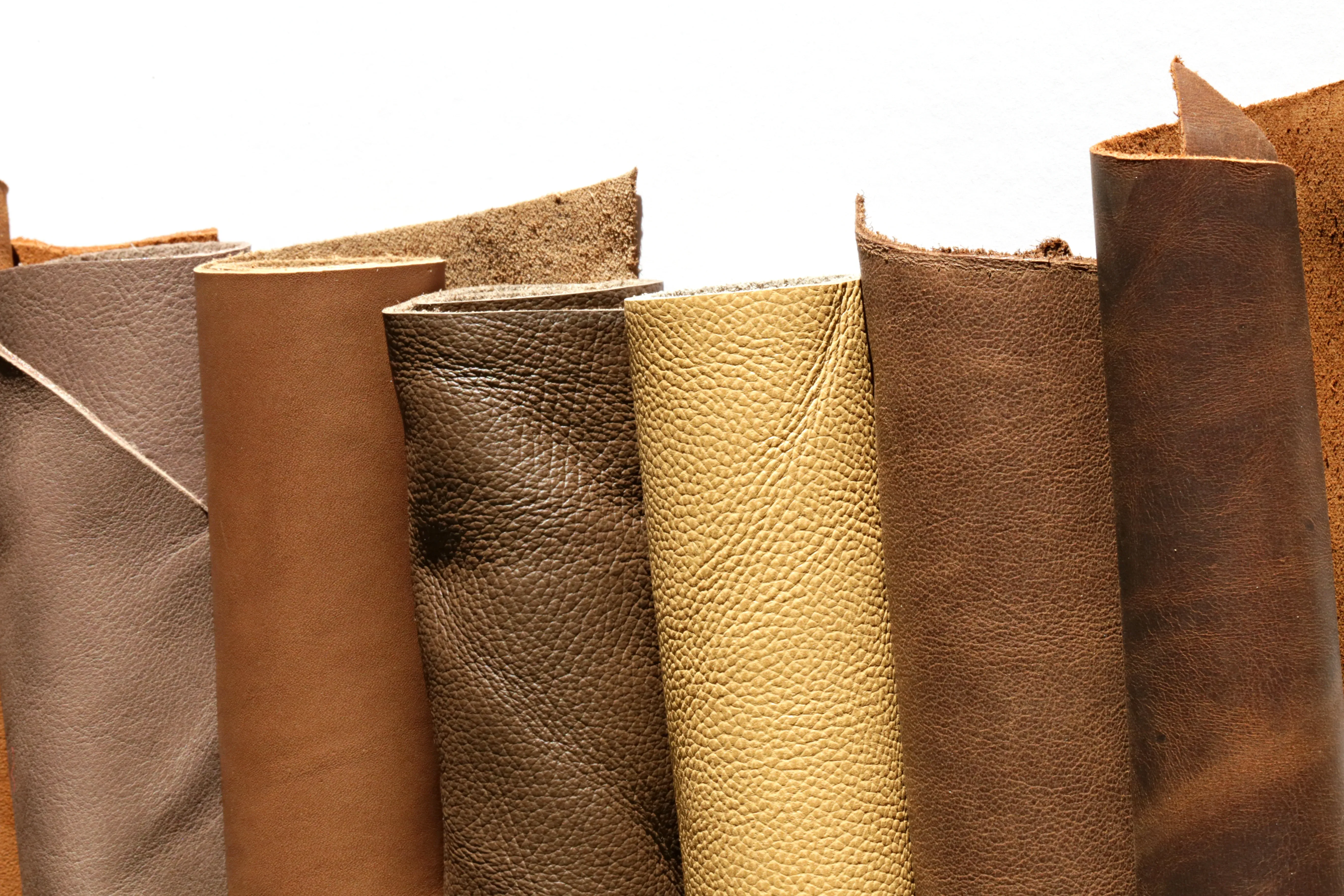 Textile & Leather Industry