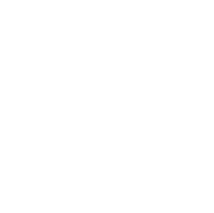 Flexi Bag – Specialized liquid bags for container transport