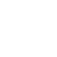 Local Bulk – Domestic bulk delivery